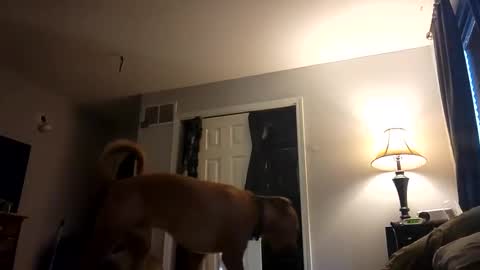 Nate online show from 02-28-25, 01:03