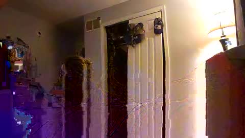 Nate online show from 10-11-25, 06:45