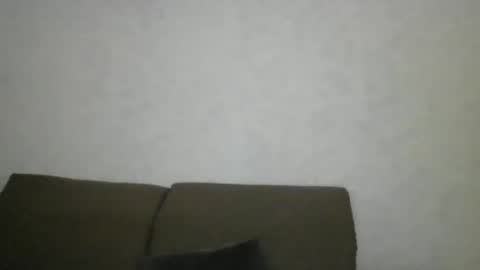 Snapshot of flamingo797424 chatting on 01-25-25, 02:15 flamingo797424 online show from 01-25-25, 02:15