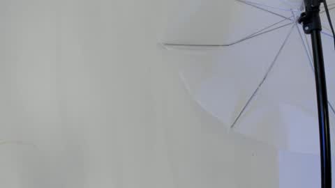 Flavia online show from 01-11-26, 06:46