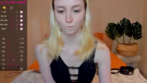 FlexiMona online show from 12-08-24, 12:52