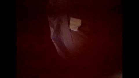Snapshot of flexngudlit chatting on 03-05-26, 06:59 flexngudlit online show from 03-05-26, 06:59