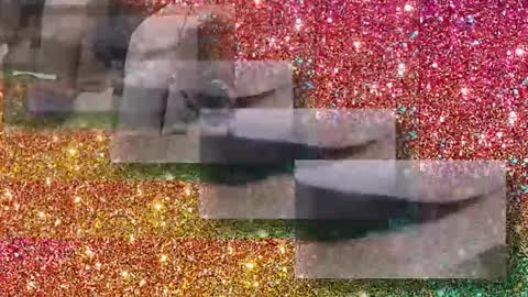 Flextle Bunny online show from 01-17-26, 11:30