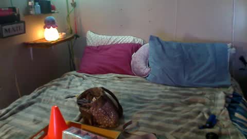 Snapshot of flopikin69 chatting on 12-22-24, 09:09 Eisha online show from 12-22-24, 09:09