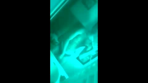 floridaloverboy88 online show from 09-29-25, 05:29