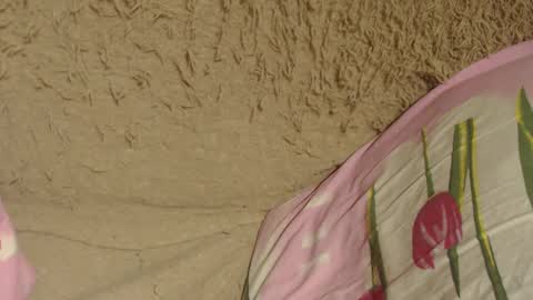 say meow and send tip  online show from 12-09-24, 07:07