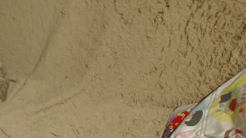 say meow and send tip  online show from 01-26-25, 07:41