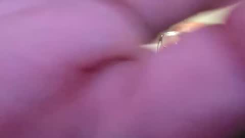 Snapshot of focusfuker chatting on 11-14-25, 11:13 focusfuker online show from 11-14-25, 11:13