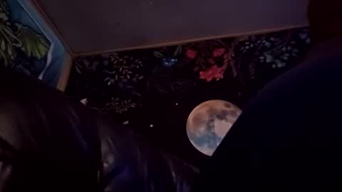 Snapshot of forgottenyeti chatting on 12-14-25, 12:54 forgottenyeti online show from 12-14-25, 12:54