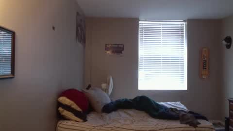 forlorndog online show from 04-07-26, 05:24