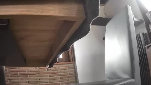 fra  71 online show from 04-01-26, 02:25