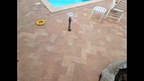 Snapshot of fra__71 chatting on 05-29-26, 05:16 fra 71 online show from 05-29-26, 05:16