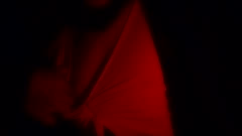 freaky_d48 online show from 11-12-25, 09:32