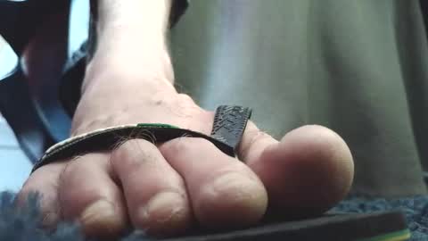 Greedy Fred online show from 02-04-26, 02:45