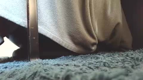 Greedy Fred online show from 07-15-26, 01:49