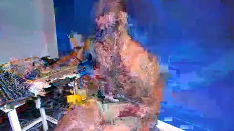 shakur online show from 05-24-26, 04:01