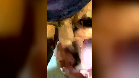 freestpeople online show from 04-14-26, 01:55