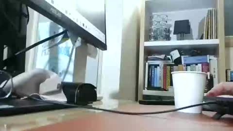 K-Dick online show from 03-01-25, 11:06