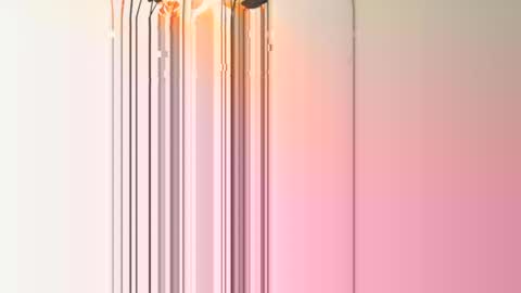 Snapshot of frenchcouple739 chatting on 12-13-24, 04:38 frenchcouple739 online show from 12-13-24, 04:38