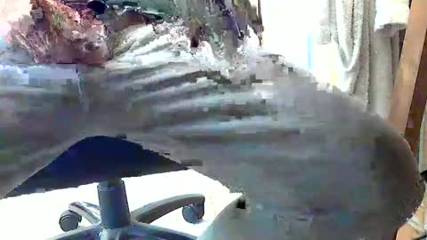 frenchpapalover online show from 02-28-25, 01:14