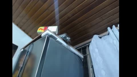 freyaa_sorceress online show from 12-31-24, 03:12