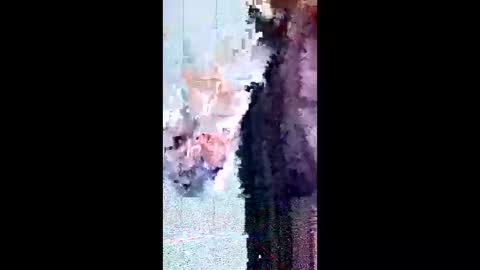 friendshipplus online show from 02-03-26, 08:08