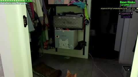   Jaywise Frogfoot  online show from 04-23-26, 07:16