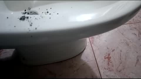 Hornycouple1386 online show from 01-31-25, 08:54