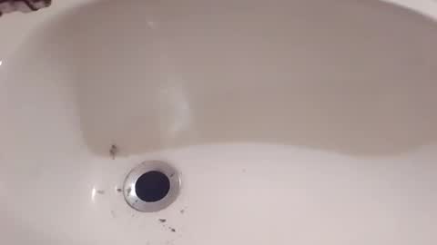 Hornycouple1386 online show from 03-15-26, 08:48