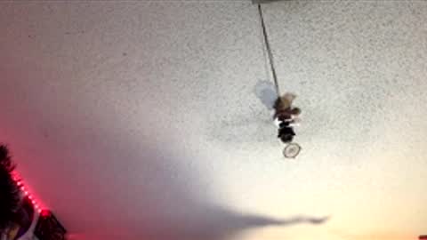 Fabian online show from 04-01-26, 07:53