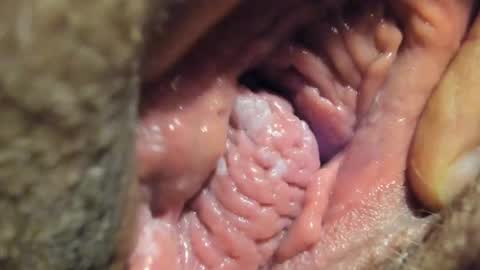 Snapshot of frumcake chatting on 01-04-25, 01:10 FrumCake online show from 01-04-25, 01:10