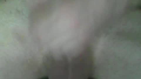 Snapshot of fryboxxxxx chatting on 07-02-26, 05:41 fry online show from 07-02-26, 05:41