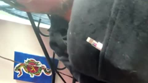 Snapshot of ftm_0 chatting on 12-17-25, 06:25 ftm_0 online show from 12-17-25, 06:25