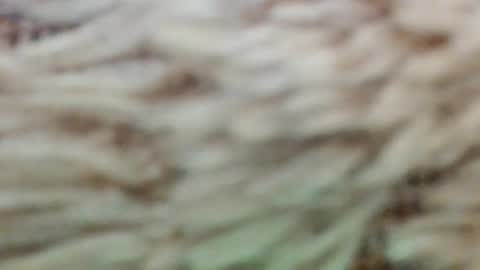 fullyfashionednylonlover online show from 03-02-26, 11:06