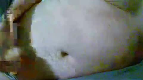 fultonstreet196860 online show from 04-10-26, 12:38