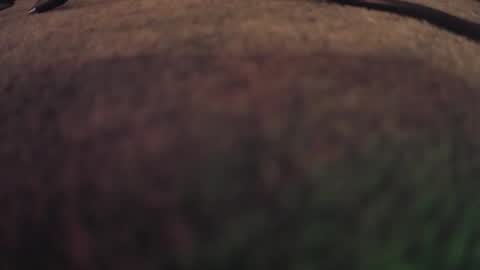 fumymo online show from 01-07-26, 08:22