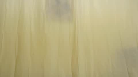 Snapshot of fun4tips chatting on 02-15-25, 03:28 Fun4Tips online show from 02-15-25, 03:28