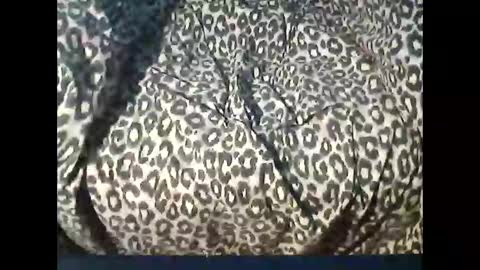 funcyman3 online show from 04-15-26, 04:03