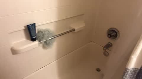 Curious guy showing off online show from 11-02-25, 01:08