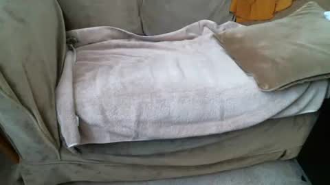 funlovinchub online show from 02-08-26, 06:33