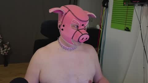 Piggy online show from 05-16-26, 09:13