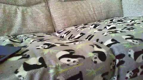 Funslimguy online show from 12-30-24, 03:46