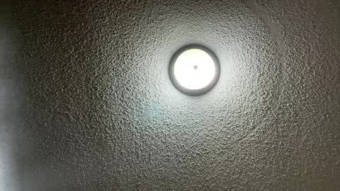 furburgermuncher89 online show from 02-22-25, 11:24