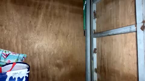 Snapshot of fvckingscarlet chatting on 11-23-25, 12:10 fvckingscarlet online show from 11-23-25, 12:10