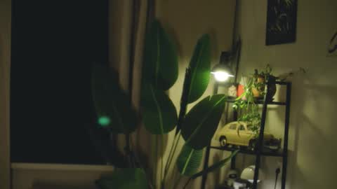 Snapshot of g_ia chatting on 02-26-26, 07:24 G online show from 02-26-26, 07:24