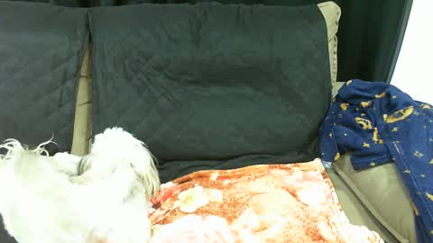 gaby  layla online show from 01-13-25, 03:56