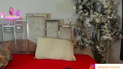 Snapshot of gabyyjones chatting on 11-28-25, 11:24 gabyyjones online show from 11-28-25, 11:24