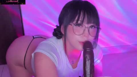 PROXIMO SHOW NOVIEMBRE 16   NEXT SHOW NOVEMBER  16    online show from 01-18-25, 12:57