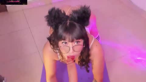 PROXIMO SHOW NOVIEMBRE 16   NEXT SHOW NOVEMBER  16    online show from 11-25-25, 09:04