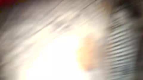 gallistuthomas440 online show from 10-26-25, 07:31